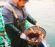 長島老刁漁家樂