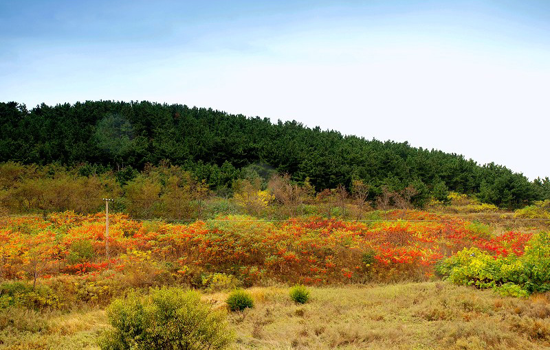 長(zhǎng)島旅游