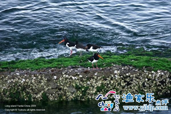 長島旅游風(fēng)景