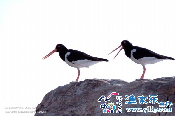 長(zhǎng)島旅游風(fēng)景