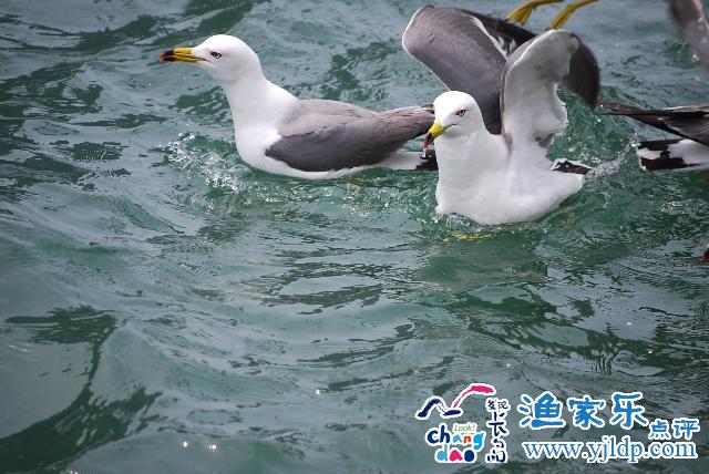 長(zhǎng)島旅游風(fēng)景