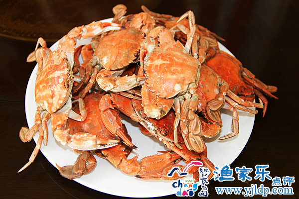 釣魚島漁家民宿