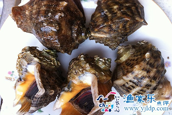 長(zhǎng)島海鮮