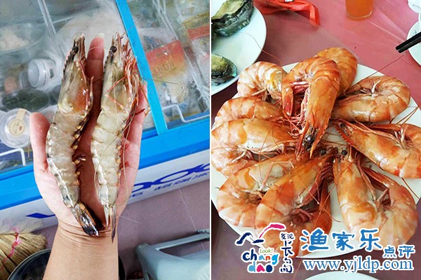 未標(biāo)題-121