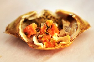 900x600_9F8EL9QG17KK0006