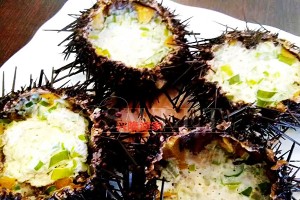 微信圖片_20170424100610