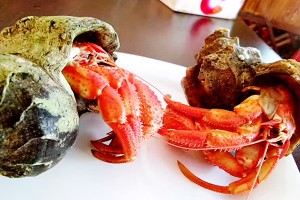 微信圖片_20170424100532