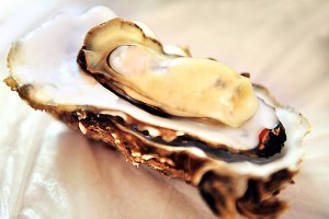 900x600_9F8ELIIV17KK0006