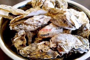 微信圖片_20170424100612