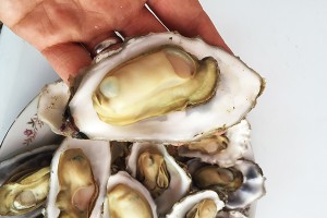 微信圖片_20170424161309