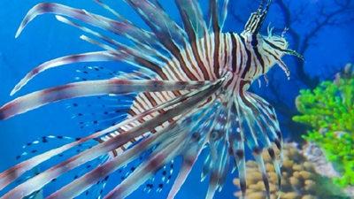 濱州海底世界03