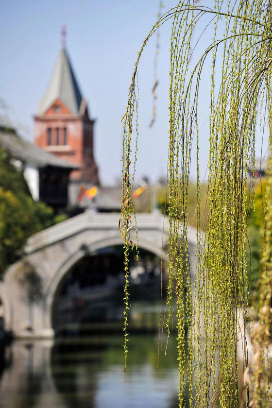 1552896356950901.png 圖片1.png