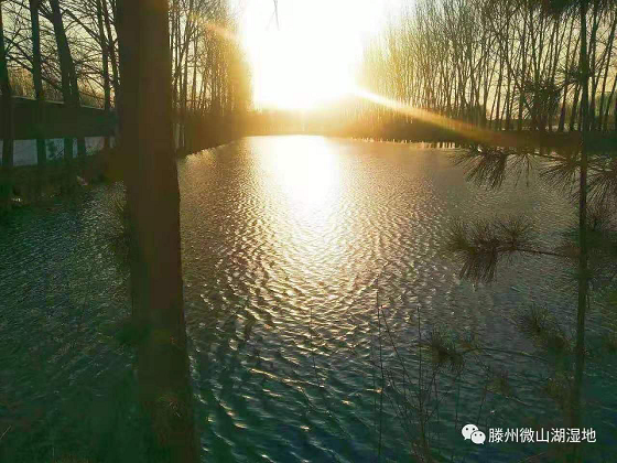 1552896435930414.png 圖片4.png