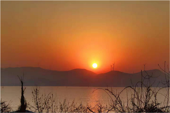 1552897189304948.png 圖片8.png