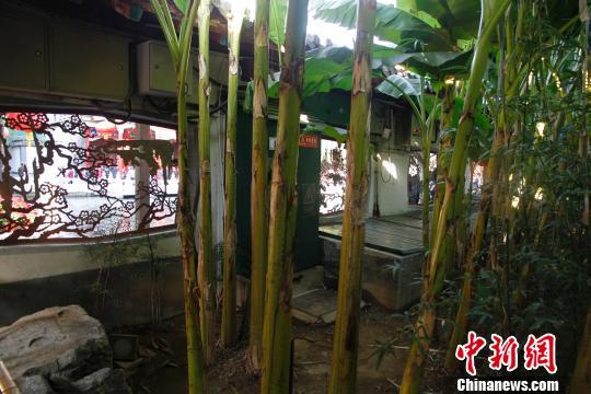 點(diǎn)擊進(jìn)入下一頁