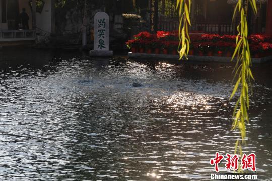 點(diǎn)擊進(jìn)入下一頁