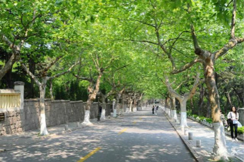 1528681655159913.jpg 圖片8.jpg