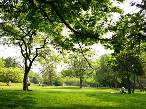 1528682044384417.jpg 圖片27.jpg