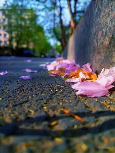 1528682178832650.jpg 圖片34.jpg