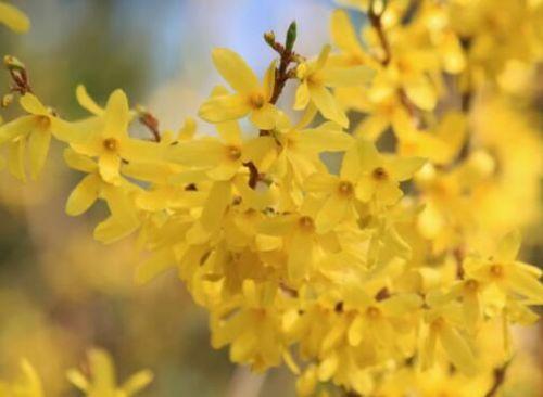 TIM截圖20180327144659