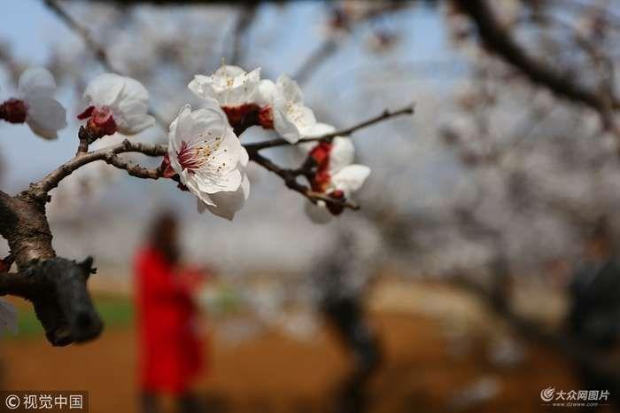 點擊瀏覽下一張