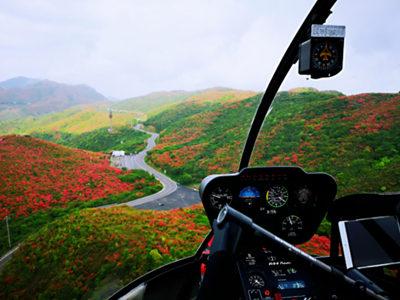 大圍山杜鵑花節(jié)05_副本