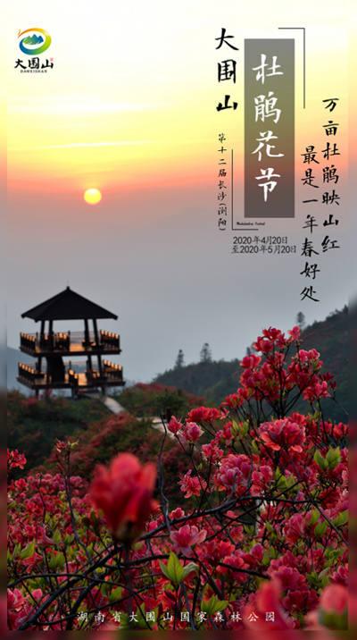 大圍山杜鵑花節(jié)02_副本_副本