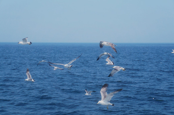 旅游攻略圖片18