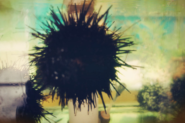 旅游攻略圖片24