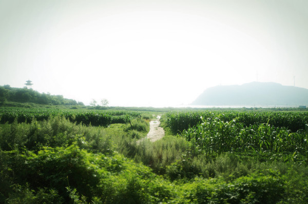 旅游攻略圖片10