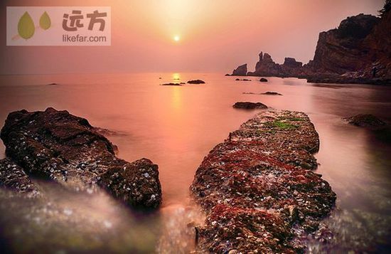 與萬只海鷗成為朋友 山東煙臺長島自助游