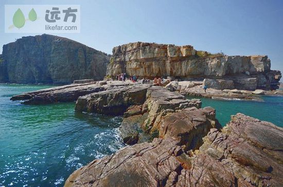 與萬只海鷗成為朋友 山東煙臺長島自助游