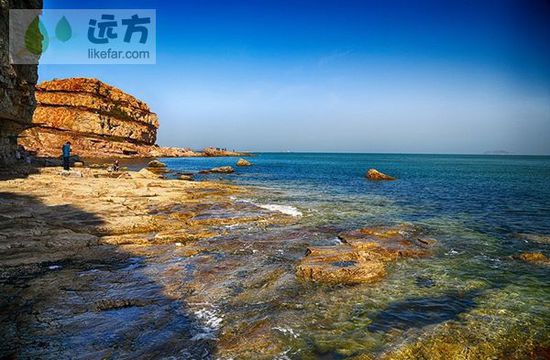 與萬只海鷗成為朋友 山東煙臺長島自助游