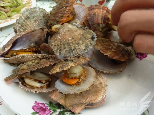 舌尖上的長島美食 暑末到長島海鮮節(jié) 舌尖上的長島美食 暑末到長島海鮮節(jié)