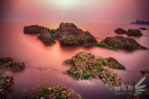 出海喂鳥吃海鮮 山東長島讓你玩到爽