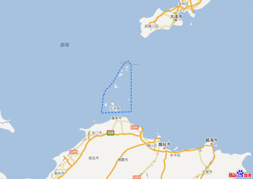 出海喂鳥吃海鮮 山東長島讓你玩到爽