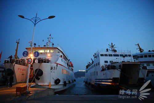 出海喂鳥吃海鮮 山東長島讓你玩到爽