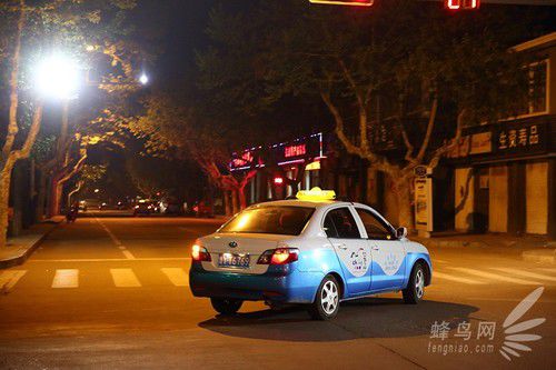 出海喂鳥吃海鮮 山東長(zhǎng)島讓你玩到爽