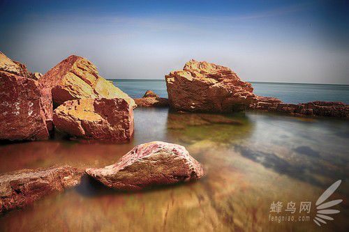 出海喂鳥吃海鮮 山東長(zhǎng)島讓你玩到爽