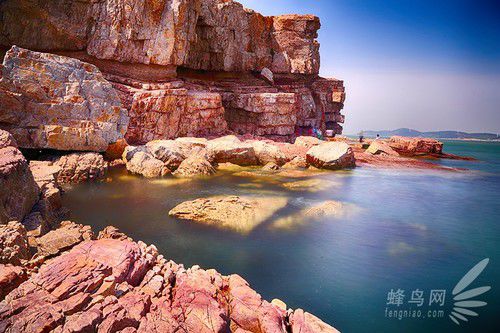 出海喂鳥吃海鮮 山東長(zhǎng)島讓你玩到爽