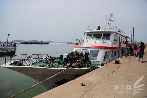 出海喂鳥吃海鮮 山東長島讓你玩到爽
