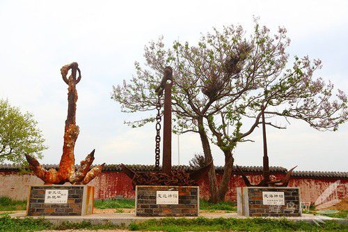 出海喂鳥吃海鮮 山東長島讓你玩到爽