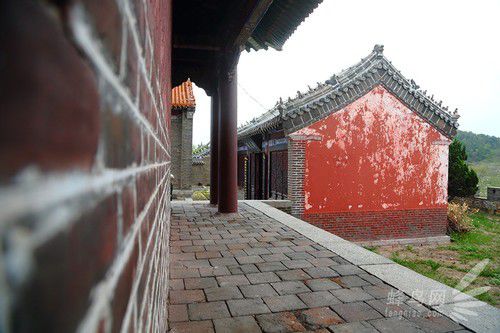 出海喂鳥吃海鮮 山東長島讓你玩到爽