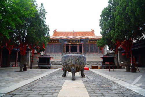 出海喂鳥吃海鮮 山東長島讓你玩到爽