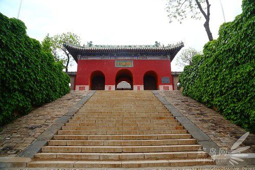 出海喂鳥吃海鮮 山東長島讓你玩到爽
