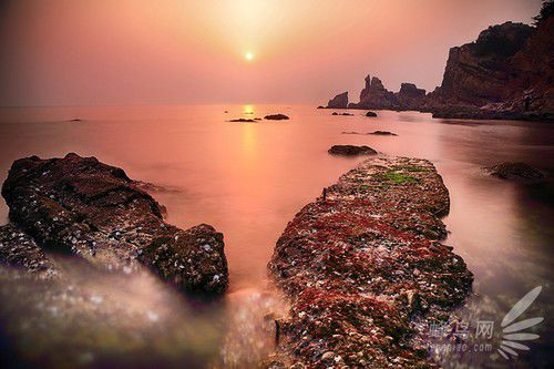 出海喂鳥吃海鮮 山東長(zhǎng)島讓你玩到爽