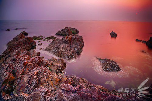 出海喂鳥吃海鮮 山東長(zhǎng)島讓你玩到爽