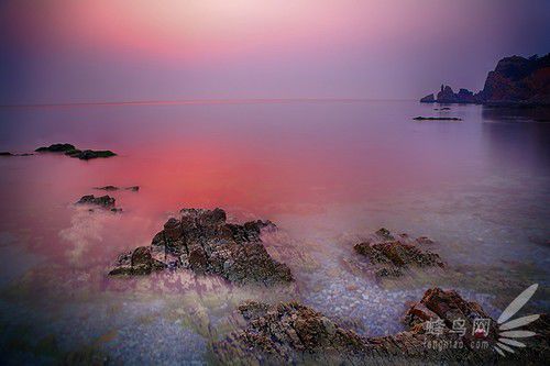 出海喂鳥吃海鮮 山東長(zhǎng)島讓你玩到爽
