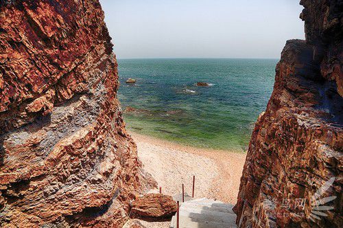 出海喂鳥吃海鮮 山東長島讓你玩到爽