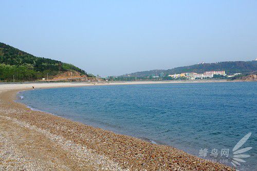 出海喂鳥吃海鮮 山東長島讓你玩到爽